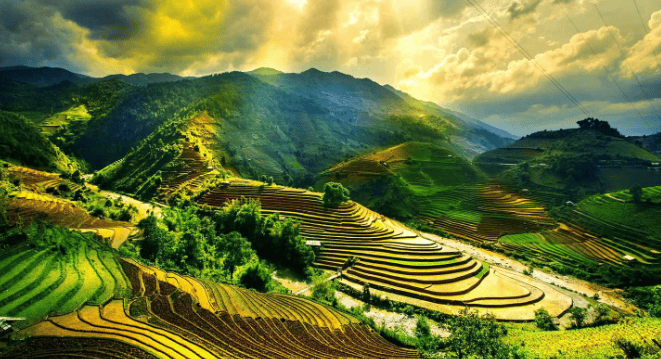 6 Days of Culinary Delights and Immersive Experiences in Da Nang, Hoi An & Hue